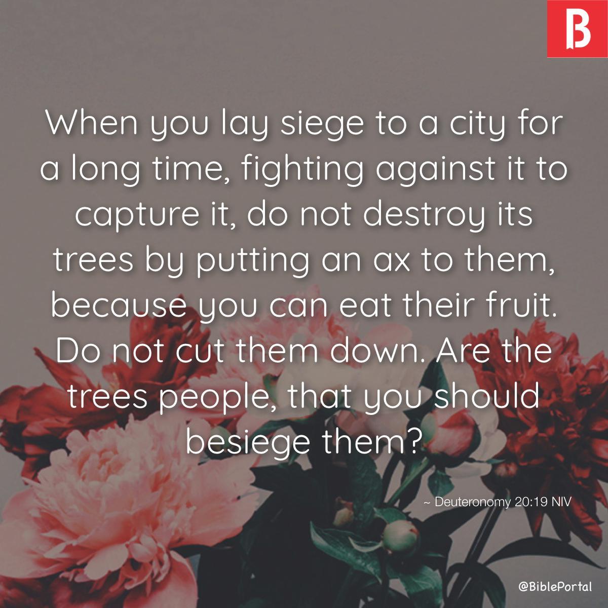 Deuteronomy 20:19 NIV
