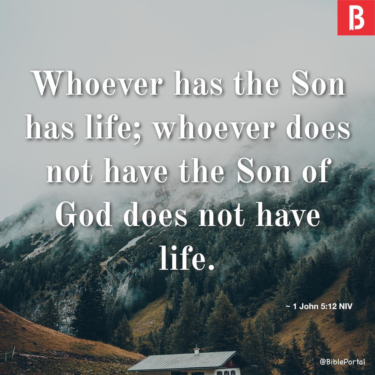 1 John 5:12 NIV